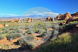 Arches National Park with Southwest Desert Landscape and LaSal Mountains in Evening Light, Utah