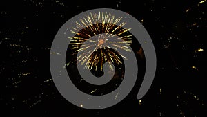 Beautiful golden firework isolated close up. Real fireworks in the night sky background.