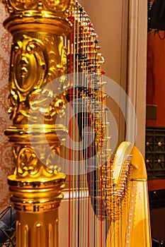 Beautiful golden harp strings close up. Musical instruments of the Orchestra in philharmonia