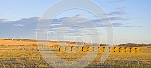 Beautiful golden hay