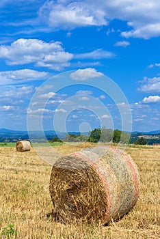 Beautiful golden hay bales on the field