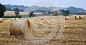 Beautiful golden hour hay bales sunset landscape