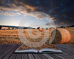 Beautiful golden hour hay bales sunset landscape conceptual book