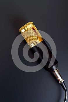 Beautiful golden microphone on a black background.