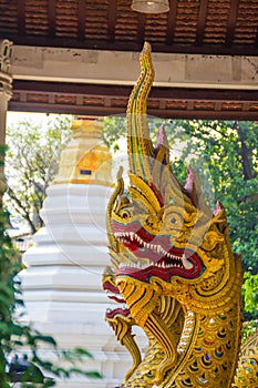 Beautiful golden naga heads open mouth with white fangs in lanna style patterned in Buddhist temple. Scary golden head of the serp