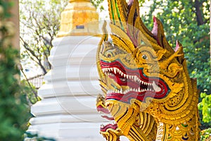 Beautiful golden naga heads open mouth with white fangs in lanna style patterned in Buddhist temple. Scary golden head of the serp
