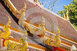 Beautiful golden naga sculptures on the church roof under the blue sky background at Wat Phra That Doi Tung, one of which is belie