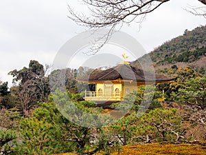 Beautiful golden pavilion at Kinkakuji temple