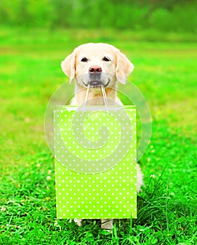 Hermoso perro perdiguero de oro el perro es un posesión verde compras bolsa 