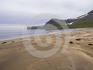 Beautiful golden sand bech with view on snow covered cliffs and photo