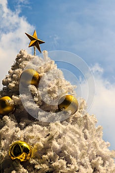 Beautiful Golden star on top of the outdoor white chrismas tree