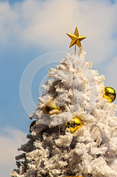 Beautiful Golden star on top of the outdoor white chrismas tree