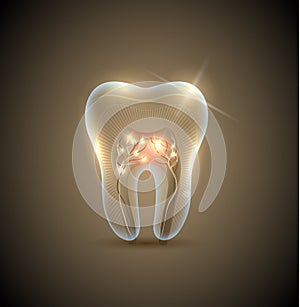 Beautiful golden transparent tooth photo