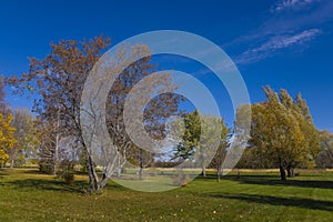 Beautiful Golf Course in the Fall Season