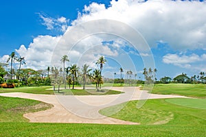 Beautiful golf course. sand trap anf palm trees