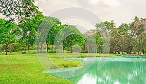 Beautiful and good mainternance of a park under cloudy sky, beauty trees on green grass fresh lawn near a lake