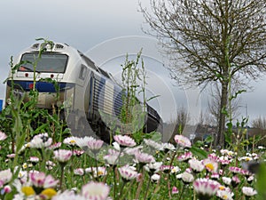 Beautiful goods train with ecologically sustainable transport flowers photo