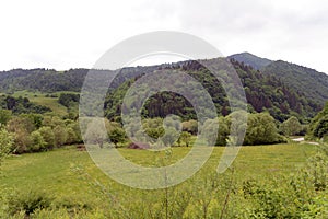 Beautiful gorge among the mountains covered with green vegetation and trees in the spring