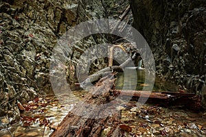Krásna roklina s vodou a stromami vo vode v Národnom parku Slovenský raj
