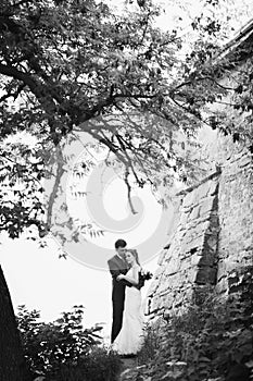 Beautiful gorgeous bride and groom kissing. happy wedding couple hugging and embracing at old castle. happy romantic moments.