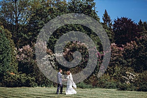 Beautiful gorgeous bride and groom posing in sunny spring park among green leaves blooming. happy wedding couple walking in green