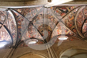 Beautiful Gothic Ceiling in Arezzo Cathedral