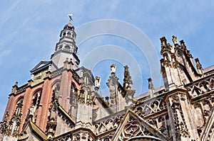 Beautiful Gothic style cathedral in Den Bosch, Netherlands