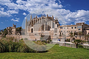 Beautiful gothic style La Seu Cathedral and canal seen from park against sky
