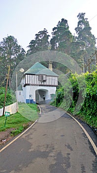 Beautiful Government botanical gardens in Ooty, Tamilnadu, India. Beset scenic place for familytime