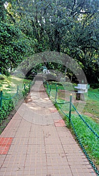Beautiful Government botanical gardens in Ooty, Tamilnadu, India. Beset scenic place for familytime