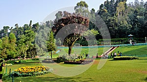 Beautiful Government botanical gardens in Ooty, Tamilnadu, India. Beset scenic place for familytime