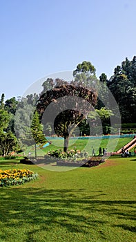 Beautiful Government botanical gardens in Ooty, Tamilnadu, India. Beset scenic place for familytime