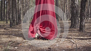 Beautiful graceful girl in a red dress walks in the pine forest. Pretty young woman walks between the pines.
