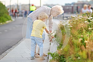 Beautiful granny and her little grandchild walking together in park. Grandma and grandson. Quality family time. Explorers of the