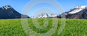 Beautiful grass meadow and snowcapped mountains panorama. Oberstdorf, Bavaria, Alps, Allgau, Germany. photo