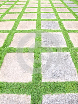 Beautiful grass tiles walk way