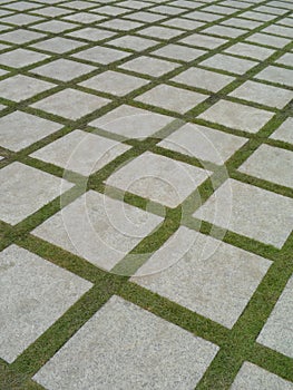 Beautiful grass tiles walk way in the garden