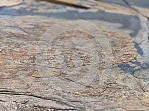 Beautiful gray-brown textured and patterned tiles. Gray-brown tiles for the background.