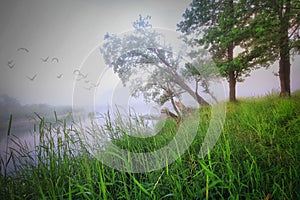 Beautiful gray landscape of river misty morning in early autumn