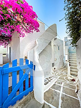 Beautiful Greek street with blue gates and white houses with flowers, cycladic islands, greece