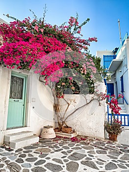 Beautiful Greek white house typical traditional architecture, front door decorated with flowers, ios cycladic islands, greece