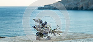 Beautiful Greek wild lavender on the background of the sea on natural wooden background. Copy space for text. Aromatherapy and ess