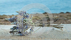 Beautiful Greek wild lavender on the background of the sea on natural wooden background. Copy space for text. Aromatherapy and ess