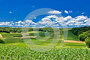 Beautiful green agricultural landscape in Croatia