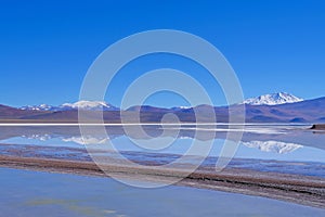 Beautiful green and blue lagoon Laguna Brava, a salt lake in the Argentine Andes, near Paso Pircas Negras, Argentina