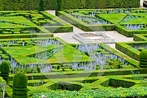 Beautiful green boxwood garden pruned into shapes.