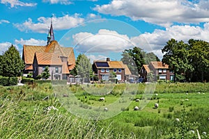 Beautiful green dutch sheep pasture, sleepy rural idyllic countryside village with church tower - Oud Bergen (Limburg),