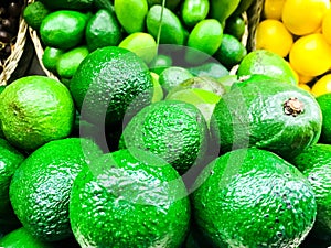 Beautiful green exotic natural sweet tasty ripe soft round big bright bright avocados. Texture, background