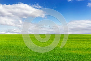 Beautiful green field and bright blue sky with light clouds