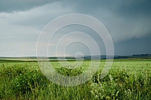 Beautiful green field landscape before rain. Countryside village rural natural background at sunny weather in spring summer. Green